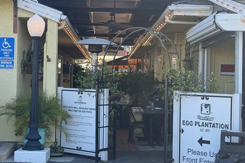 Egg Plantation