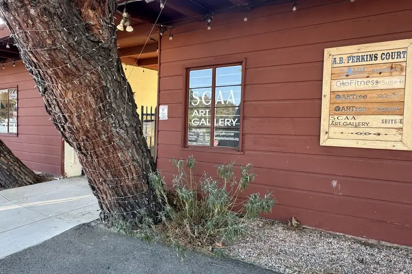 Santa Clarita Artists Association