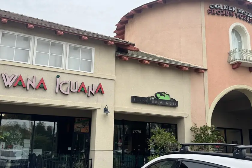 Wana Iguana